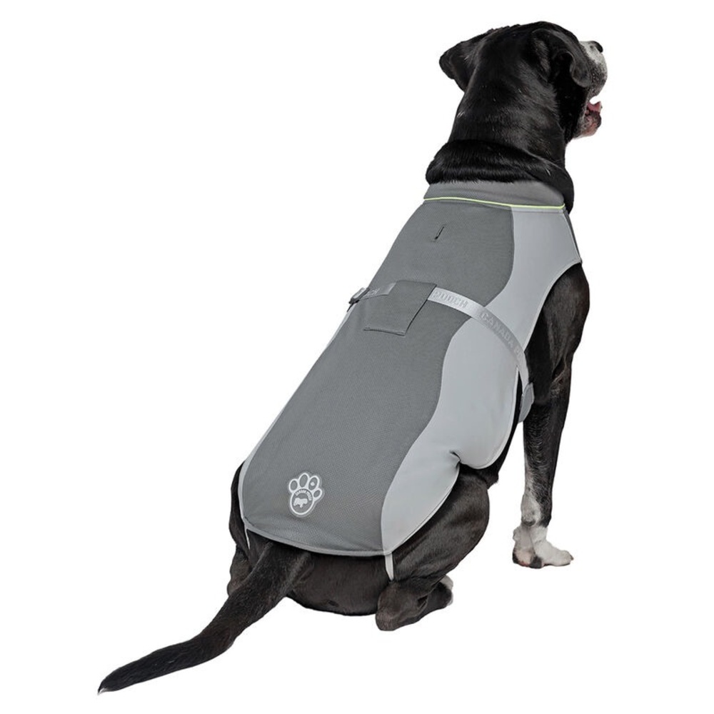 Canada Pooch Max Chill Cooling Vest in Grey